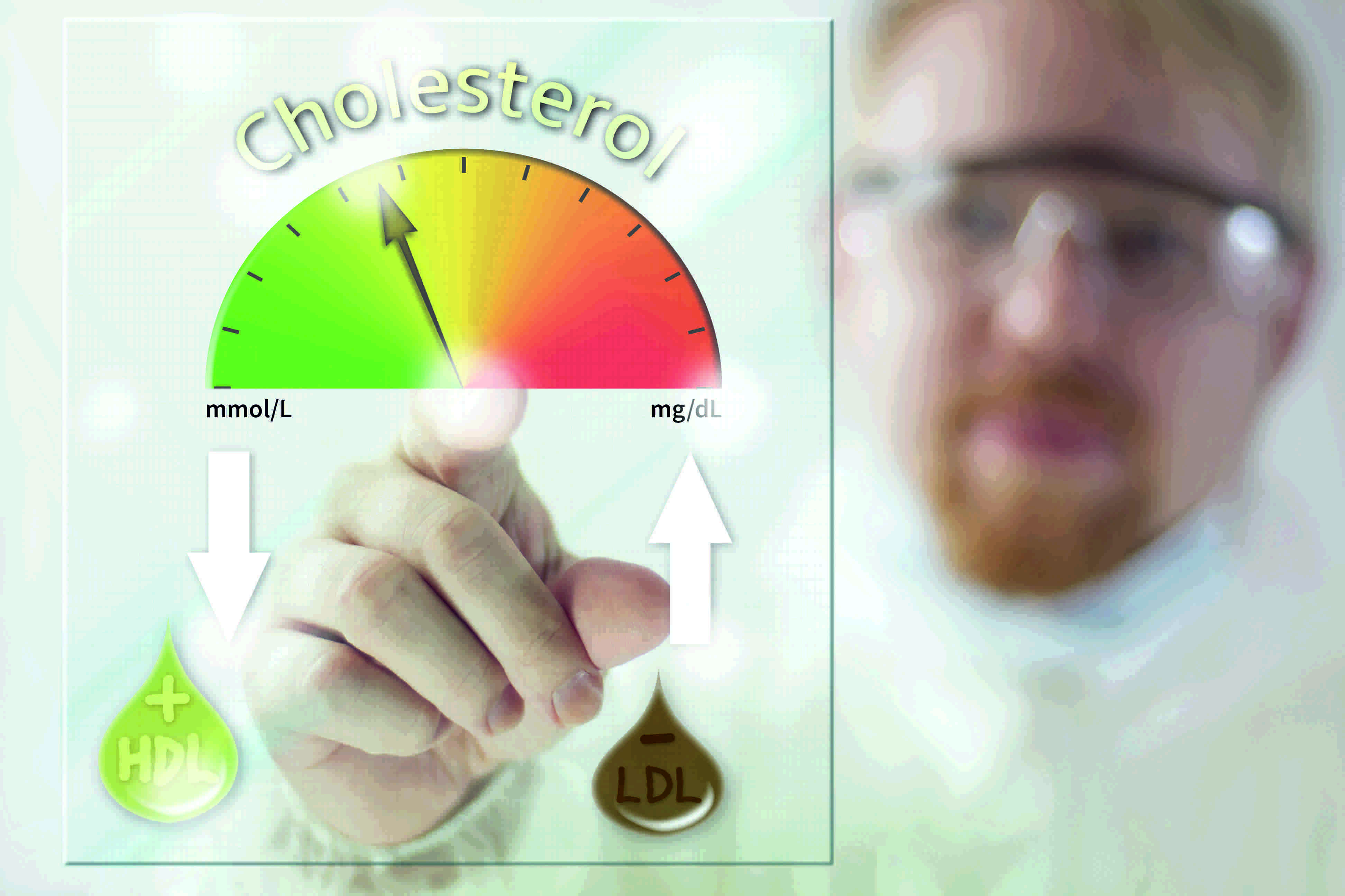 Cholesterin HDL LDL